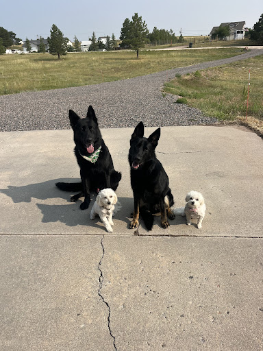 Nicole Sparger's review