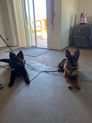 Scott Dannemiller's review